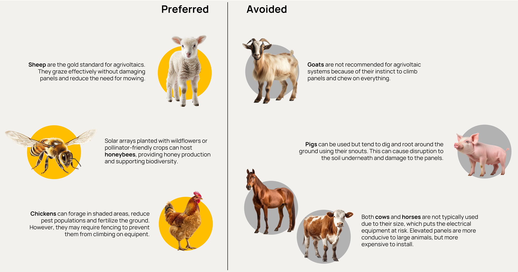 Animal Suitability for Agrivoltaic Projects Orennia